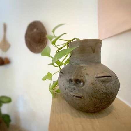 Casa Cacahuate Holbox-Casa Entera Con Jardin-Whole House With Garden Βίλα Εξωτερικό φωτογραφία